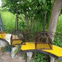 ราคา กรงดักนกหัวจุก กรงดักนก 2 ทาง เพนียดดักนก 2 ทาง (9092961966)