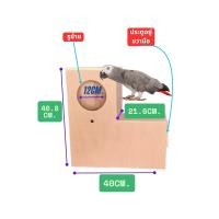 ราคา กล่องนกซันคอร์นัว ริงเน็ค ตัวแอลรังเพราะนกซันคอร์นัว ริงเน็ค แอฟริกันเกรย์ (23733501515)