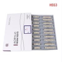 ราคา 5 Sets Box Dental Synthetic Polymer Teeth Resin Denture Dental Teeth Model (24325484558)