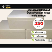 ราคา ชุด 3 ใบ กล่องปลูกผักไฮโดรโปนิกส์ น้ำนิ่ง ความจุ 10 กิโล ทรงแบน พร้องเจาะ 6 รู ถ้วยปลูก ถุงดำ แถม ฟองน้ำไฮโดรโปนิกส์ 1 แผ่น (18866668248)