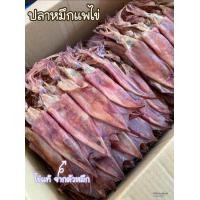 ราคา ปลาหมีกแห้ง ปลาหมึกไข่ ปลาหมึกแห้งราคาถูก หมึกแพไข่ไข่หมึก หมึกแห้ง ปลาหมึกเรือไดร์แพไข่ อาหารทะแล อาหารทะเลแห้ง สะอาด ถูกหลักอนามัย (10678028197)