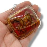 ราคา พญาม้าเสพนางครูบาวัง ด้านหลังบรรจุมวลสารเต็มสูตร ทำจากเนื้อผงว่านมหาเสน่ห์เลี่ยมกรอบน้ำมันว่านรักซ่อน สุดยอดแห่งมนต์ขลัง (19121027065)