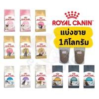 ราคา Royal Canin แมว แบ่งขาย โรยัล คานิน แบ่งขาย 1 กิโลกรัม (24946575889)