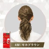 ราคา Cielo Hair Color Cream ยาย้อมผม แบบครีม ปิดหงอก (23135782331)