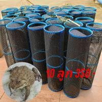 ราคา ลอบดักกบ ไซดักกบ ชุด 10 ลูก (10426116254)