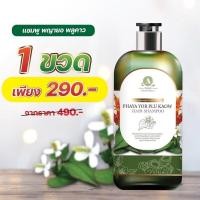 ราคา อัญญา พญายอ พลูคาว ยาสระผม Anyaa Phaya Yor Plu Kaow Shampoo (17353731835)