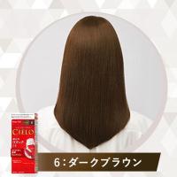 ราคา Cielo Hair Color Cream ยาย้อมผม แบบครีม ปิดหงอก (23135767671)
