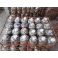 ราคา ส่งทุกวัน ฟาร์มขายเอง เชื้อเห็ดฟาง12ก้อน เชื้อเห็ด แพค 12 ก้อน เชื้อเห็ดฟางแพ้ค ก้อนเชื้อเห็ดฟาง straw mushroom เชื้อเห็ด เห็ดฟาง คุณภาพยอดเยี่ยม แพ้ค12ก้อน (17823859946)