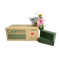 ราคา Oasis Premium โอเอซิส พรีเมียม โฟมปักดอกไม้ อุปกรณ์จัดดอกไม้ (21040799644)