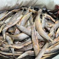 ราคา ปลาแห้ง ปลาหลดตากแห้ง ปลาหลด 1 kg ငမ ထ အထ ပ က ၁ က လ (23850299319)