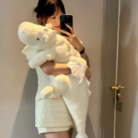 ราคา 60 70cm Plush Pillow Little Flying Dragon Doll Sleep Pillow Dinosaur Plush Toys Doll Cute Little Flying Dragon Pillow Plush Doll (24048608750)