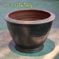 ราคา กระถาง กระถางต้นไม้ กระถางมังกร กระถางดำ กระถางโมเดิร์น กระถางดินเผา มินิมอล กระถางต้นไม้ใหญ่ กระถางต้นไม้กลาง กระถางต้นไม้เล็ก ราคาพิเศษจัดส่งฟรีถึงหน้าบ้าน มีรับประกันสินค้าแตกเสียหายเปลี่ยนฟรี จัดจ