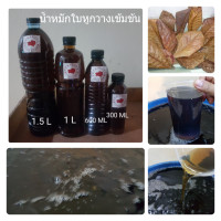 ราคา น้ำหมักใบหูกวาง สูตรเข้มข้น ผสมเกลือสมุทร สำหรับปลาสวยงาม ปลากัด (23578826138)