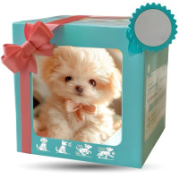 ราคา ตาสุนัขตัวน้อย หุ่นxตุ๊กตาตุ๊ก หุ่นยนต์ผ้ากำมะหยี่อิเล็กทรอนิกส์ หุ่นยนต์หมา ตุ๊กตาตุ๊กตาลูกสุนัข Robot Dog (24750436979)