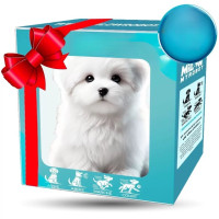 ราคา ตาสุนัขตัวน้อย หุ่นxตุ๊กตาตุ๊ก หุ่นยนต์ผ้ากำมะหยี่อิเล็กทรอนิกส์ หุ่นยนต์หมา ตุ๊กตาตุ๊กตาลูกสุนัข Robot Dog (24750436977)