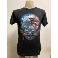 ราคา เสื้อยืด ลายฮาเล่ 3D สไตล์วินเทจ (20498996986)