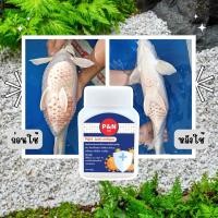 ราคา ปลาคาร์ฟ ปลาทอง กุ้งเครฟิชทุกสายพันธ์ุ ปลาสวยงามทุกชนิดขนาด 50g 350 บาท (24398183962)
