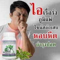 ราคา สมุนไพร หนุมานประสานกาย 50 แคปซูล หอบหืด และภูมิแพ้อากาศ ขับเสมหะ ทำให้ทางเดินหายใจโล่ง แก้ช้ำใน ลดอาการเลือดคั่งภายใน สมุนไพร 100 (24830922166)