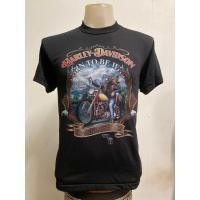 ราคา เสื้อยืด ลายฮาเล่ 3D สไตล์วินเทจ (21044162521)