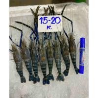ราคา กุ้งแม่น้ำตัวเมียปนไข่กุ้งสดๆแล้วนำไปแช่แข็ง ไซส์20 30ตัวต่อโล แบ่งขายแพ็คละ1กิโลกรัม (24720322369)