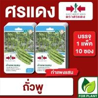 ราคา ผักซอง ศรแดง เมล็ดพันธุ์ พันธุ์ผัก ถั่วพู กำแพงแสน F1 บรรจุแพ็คล่ะ 10 ซอง ราคา 310 บาท (17819781352)