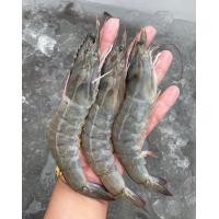 ราคา กุ้งขาวตัวใหญ่ๆ ไซส์20 30ตัวโล กุ้งสดๆแล้วนำมาแช่แข็ง ขายแพ็คละ 1กิโลกรัม (24578474985)