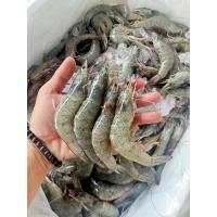 ราคา กุ้งแชบ๊วยไซส์ 20 30 ตัวโล เป็นกุ้งทะเลธรรมชาติ หัวอาจหลุดง่ายกว่ากุ้งเลี้ยงนะครับ ขายแพ็คละ1กิโลกรัม (24589566179)