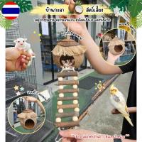 ราคา YY MALL บ้านกะลาชูก้าร์ไกลเดอร์ บ้านกระรอก บ้านหนูแฮมสเตอร์ นกแก้ว บ้านกะลาแขวนกรง บ้านสัตว์เลี้ยง (23635884551)