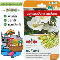 ราคา ขายปลีก เมล็ดพันธุ์ผัก แพ็ค 5 ซอง ศรแดง S090 ดอกพระจันทร์ ชมจันทร์ เมล็ดพันธุ์ เมล็ดพันธุ์ผัก เมล็ดผัก ผักสวนครัว (24527804805)