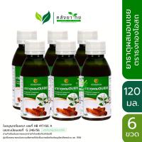 ราคา แพ็ค 6 ขวด ยาธาตุอบเชย ตราธงทอง 120 มล ขวด ผลิตภัณฑ์สมุนไพรขายทั่วไป (16798371779)