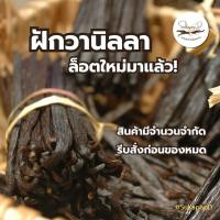 ราคา มาแล้ว ฝักวานิลลาตาฮิติ ล็อตใหม่ วานิลลาออร์แกนิก เกรดเอ TAHITENSIS VANILLA BEAN GRADE A ORGANIC 1 Pod (24530597165)
