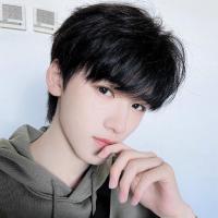 ราคา วิกผมสั้นผู้ชาย สไตล์เกาหลี วิกผม วิกผมสั้น Short wig วิกผมคอสเพลย์ ผมปลอมผู้ชาย วิกผมสั้นแฟชั่น (24784063913)