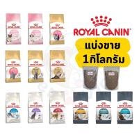 ราคา Royal Canin แมว แบ่งขาย โรยัล คานิน แบ่งขาย 1 กิโลกรัม (24946575886)
