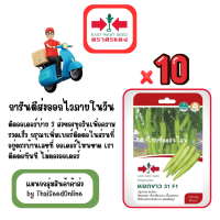 ราคา GGx10 เมล็ดผักซองศรแดง หยกขาว พริกหนุ่มขาว สินค้ายกแพ็ค (24807234529)