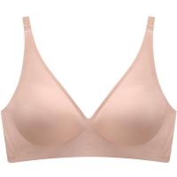 ราคา FINETOO S XL ชุดบราไร้รอยต่อสำหรับผู้หญิงบราเซียไร้สายชุดชั้นในดันทรงชุดชั้นในนุ่มชุดชั้นในสตรีแบบเซ็กซี่ชุดชุดชั้นในสำหรับผู้หญิง (14505925057)