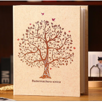 ราคา อัลบั้มเก็บรูป 4x6 นิ้ว 4R เก็บได้ 200 รูป อัลบั้มรูป อัลบั้มการ์ด โปสการ์ด อัลบั้ม แบบสอด 4 6 นิ้ว xc0008 (24747070677)