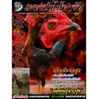 ราคา ไข่ไก่ชนสายเลือดเงินล้านเจ้าอสูร แสนรักโกเซ้มฟาร์มสายนี้แม่นหูพิเศผษแทงลึกของดีบอกต่อราคา3ฟอง300บาท (14029183395)