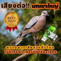 ราคา เสียงนกเขาใหญ่ เสียงต่อเสียงนกเขาใหญ่ ต่อเข้าเร็ว USBแฟลชไดร์ฟเสียงต่อนกเขาใหญ่ ชัด100 ไม่มีโฆษณาแทรก (23840919104)