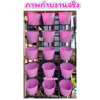 ราคา SET ชุดกระถางแขวนพร้อมตะแกรง ผนังแขวนกระถางต้นไม้ ตกแต่งสวนสำหรับตกแต่งบ้าน ให้สวยงาม (14511395686)