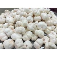 ราคา ขายดี มังคุดอบกรอบ ซื้อ1เเถม1 มังคุดอบกรอบ มังคุดฟรีซดราย Freeze Dried Mangosteen แบบเต็มลูก มังคุด 100 ผลไม้อบแห้ง ผักอบกรอบ ผักผลไม้อบ (20397001294)