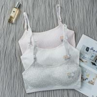 ราคา ชุดชั้นในเด็กโต สปอร์ตบราวัยรุ่น เสื้อในวัยรุ่น เสื้อกล้ามเด็กโต ไร้โครง ชุดชั้นในเด็กผู้หญิงบราฟองน้ำผ้านิ่มใส่สบาย 8 16 ขวบ (24652037963)