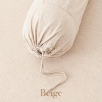 ราคา CoZzz Bedding ปลอกหมอนข้างผ้ายืด ปลอกหมอนข้าง ผ้าฝ้าย100 สไตล์ มินิมอล Bolster Case ผ้าปูที่นอนผ้ายืด ผ้าปูที่นอน5ฟุต ผ้าปูที่นอน6ฟุต ผ้ายืด Cotton Jersey (658494596)