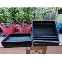 ราคา ถาดเพาะชำอเนกประสงค์ ถาดเพาะเมล็ด ถาดอเนกประสงค์แบบมีรูระบายจำนวน 10 ใบ แพคด้วยกล่องหนา (6939328916)