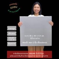 ราคา เบาะรองนั่ง เบาะนั่งสมาธิ สีเทาสว่าง ขนาด 65 x 60 x 2 4 cm (24406188177)