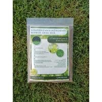 ราคา เมล็ดหญ้า100กรัม เบอร์มิวด้า พาสพาลัม หญ้านวลน้อย เทียบ มาเลเซีย100 กรัม 500000เมล็ด (22552936274)