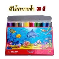 ราคา COLLEEN สีไม้ระบายน้ำ 12 24 36 สี (24367687055)
