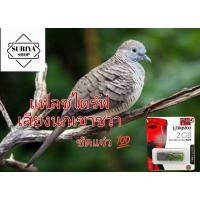 ราคา แฟลชไดรฟ์ เสียงนกเขาชวา นกเขาชวา นกเขา ชัดแจ๋ว100 เสียงดี เข้าแน่นอน ใช้ไม่ได้ยินดีคืนเงิน (12491664042)