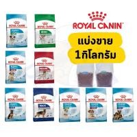 ราคา Royal Canin สุนัข แบ่งขาย โรยัล คานิน แบ่งขาย 1 กิโลกรัม (24946611742)
