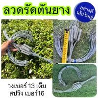 ราคา ลวดเกือกม้า ปอขาว 60เส้น ลวดรัดต้นยาง ลวดเกือกม้ารัดต้นยางพารา วงเบอร์13เต็ม ขดสปริง16 หนาทนทาน แข็งแรง ใช้งานได้นานหล (23220855455)