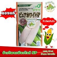 ราคา ทำมะชาดฟาร์ม ซองญี่ปุ่นแท้ มีคู่มือ เมล็ดพันธุ์ ข้าวโพดเพียวไวท์ ข้าวโพดฮอกไกโด ข้าวโพดทานสด ข้าวโพดกินดิบ ข้าวโพดนมสด (528338829)